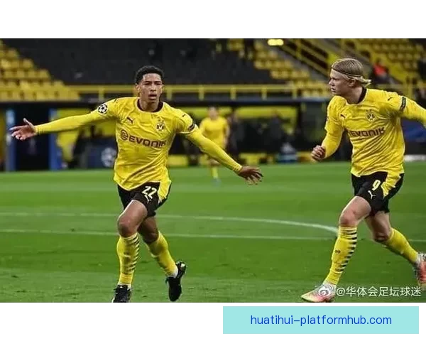 华体会足球：全面解析球队发展历程及未来战略布局